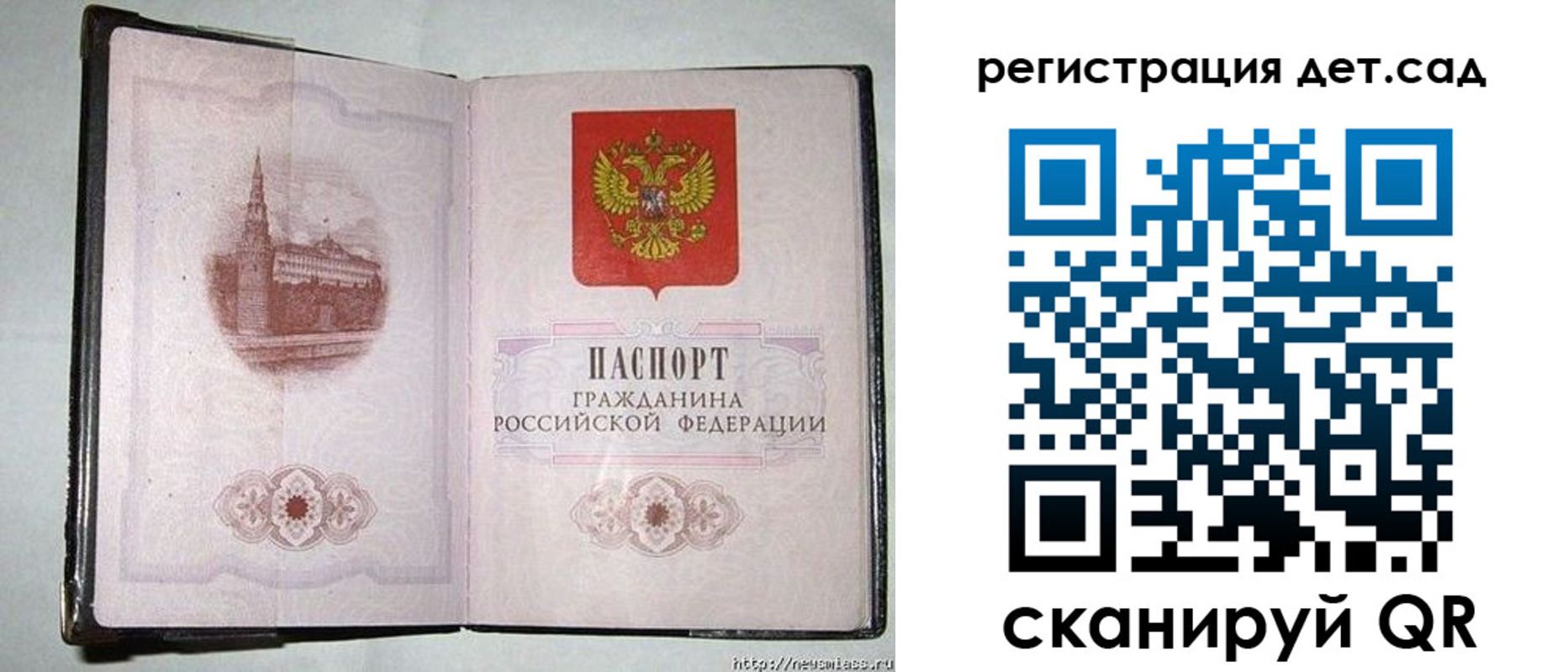 регистрация в Светлогорске