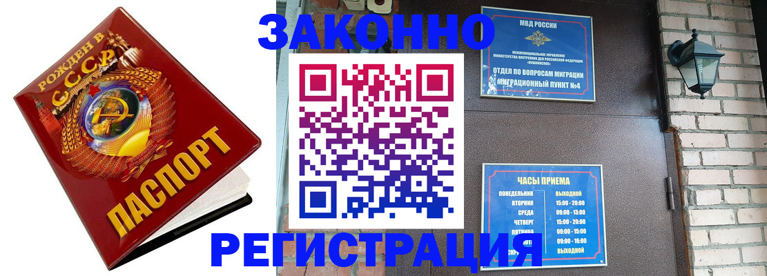 где прописаться в Светлогорске